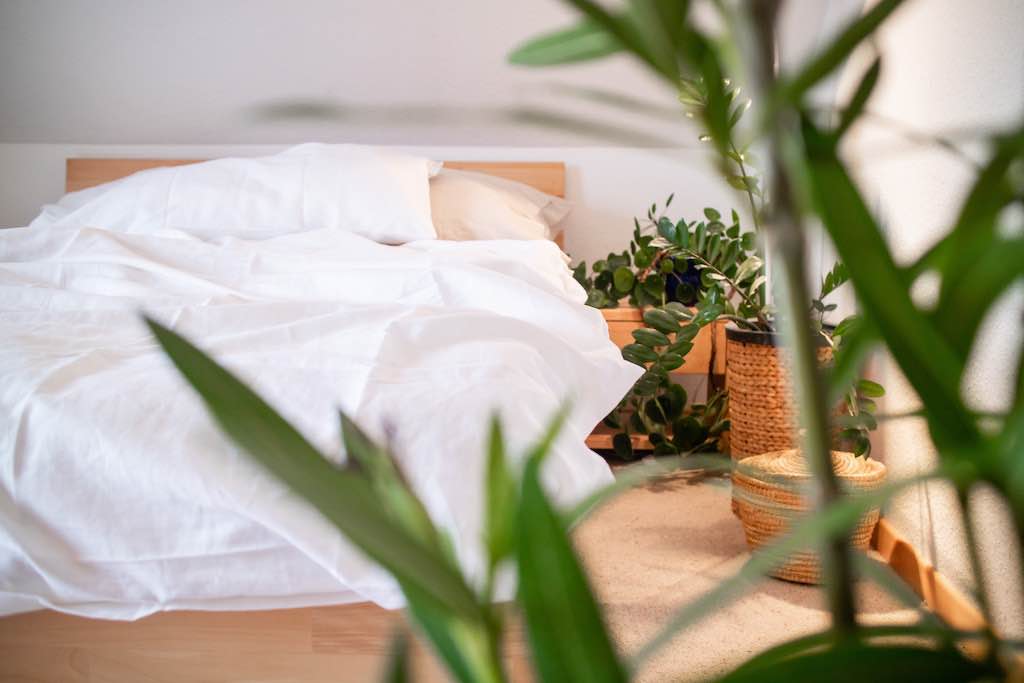 Wir lieben Greenery - warum Zimmerpflanzen perfekt ins Schlafzimmer passen